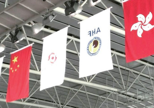 Large-Scale Sports Events and Activities